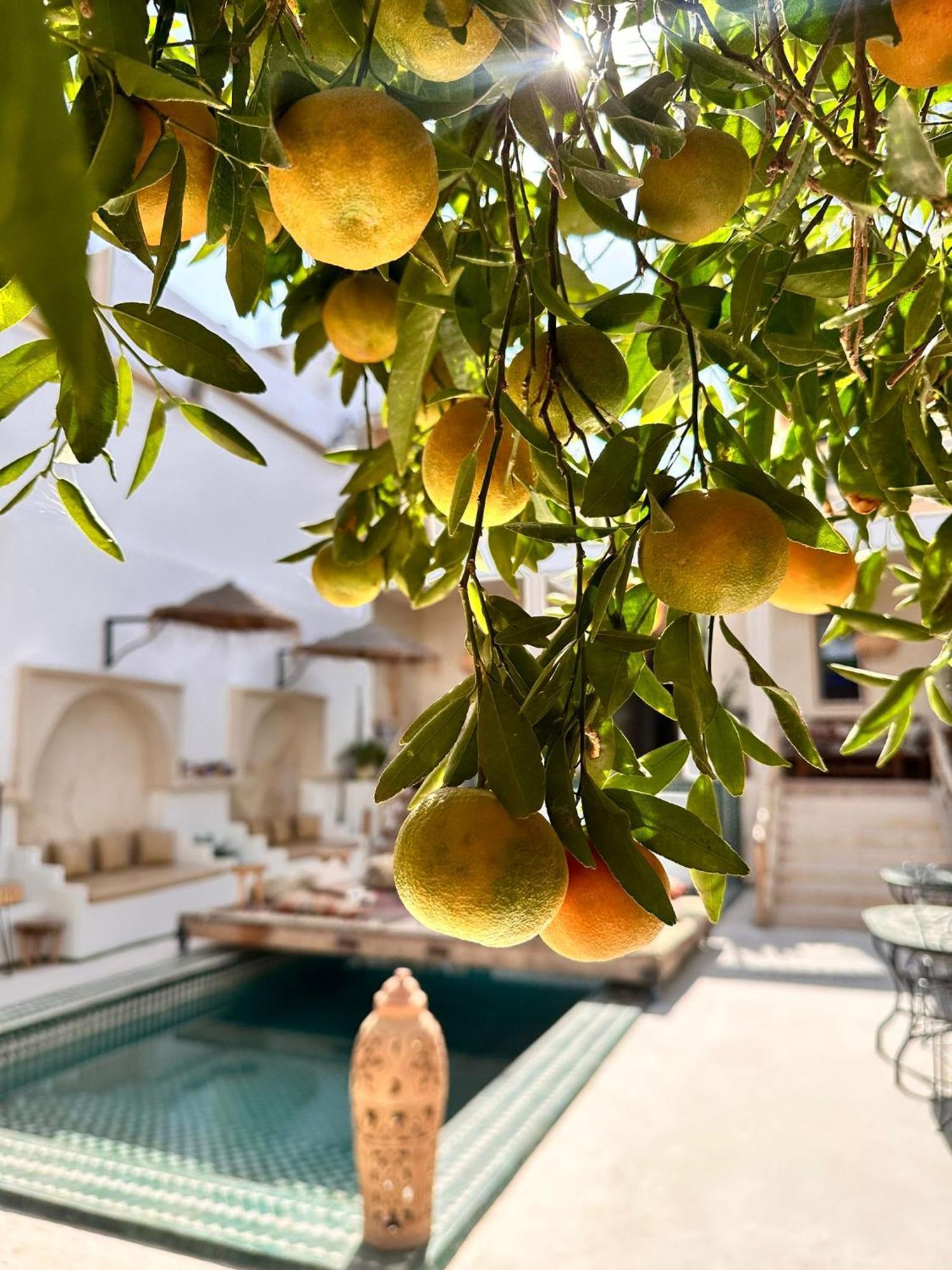 Bed and Breakfast Dar Salam Souss Taroudant Esterno foto